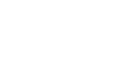 logo_blum